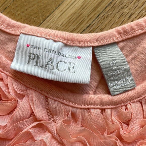 Toddler Girls Glitter Flower Matching Tutu Dress - Peach Sachet 2T - Picture 3 of 4